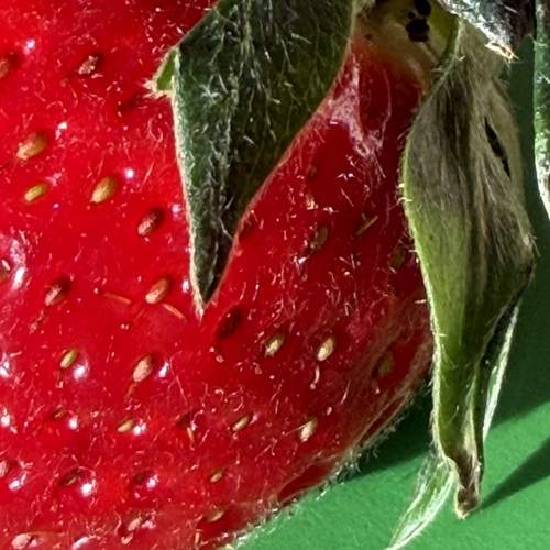 Photo #13630849