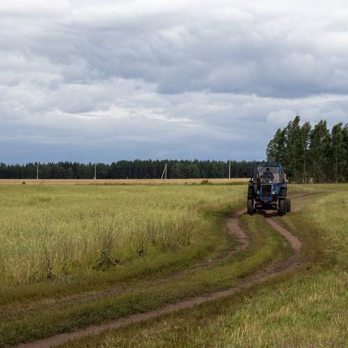 Photo #13630974