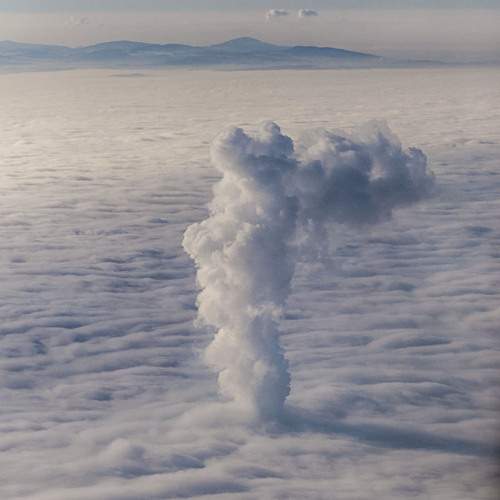 Photo #13630980