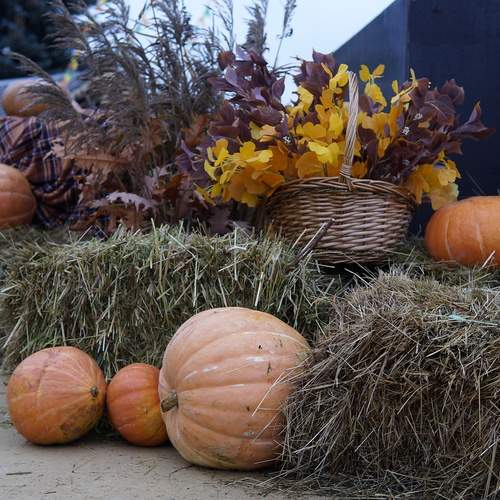 Photo #13630982