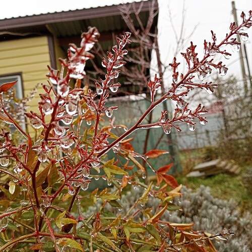 Photo #13631025