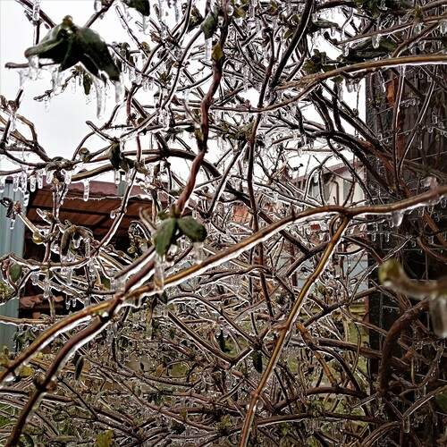 Photo #13631028