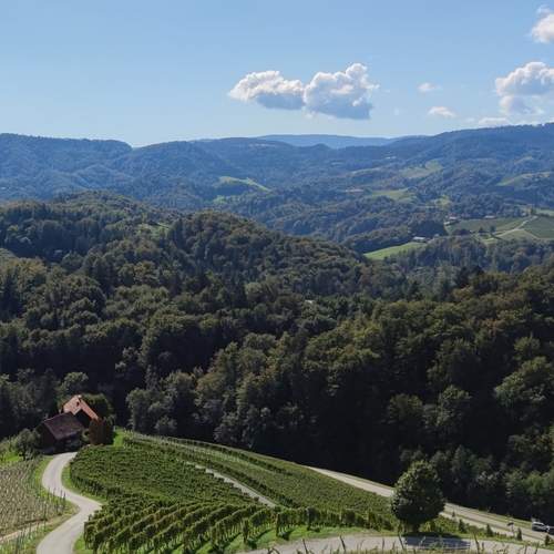 Photo #13631139