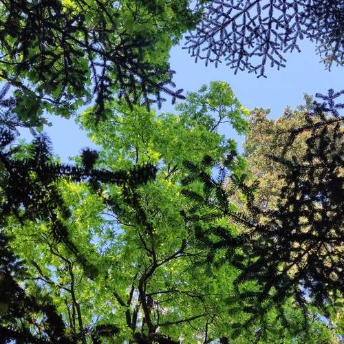 Photo #13631150