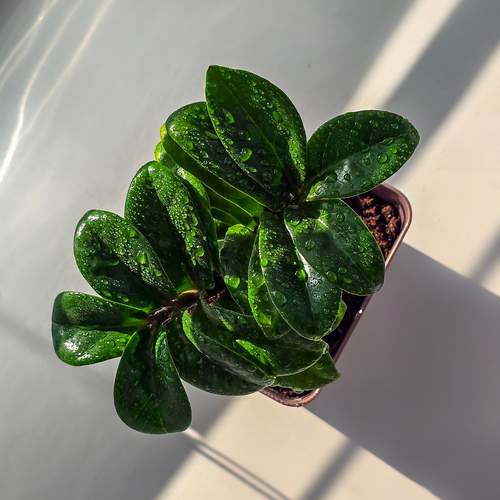 Photo #13631224