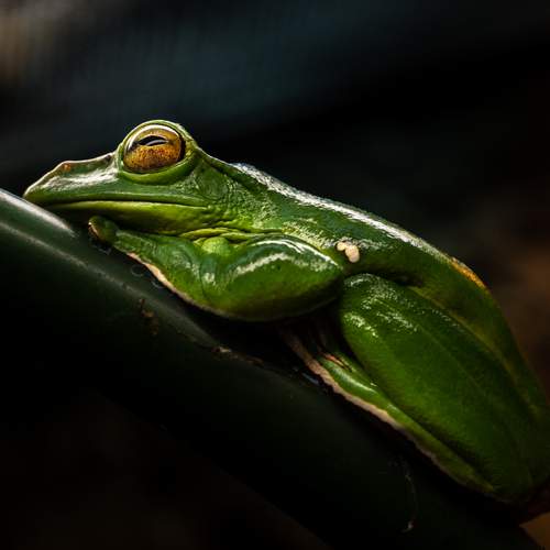 Photo #13631231