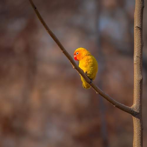 Photo #13631274