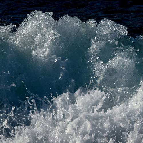 Photo #13631276