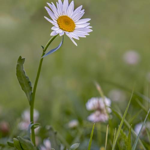Photo #13631384