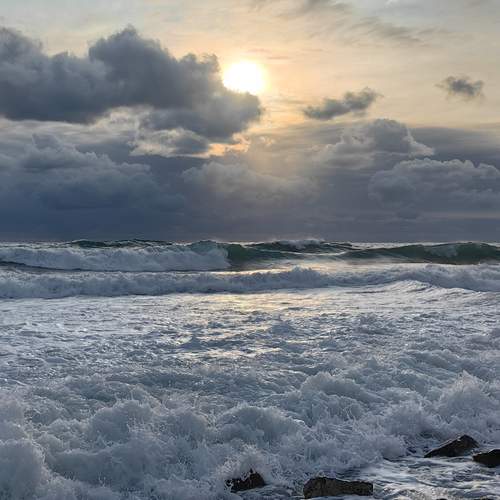 Photo #13631398