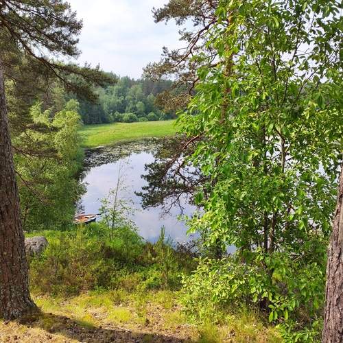 Photo #13631429