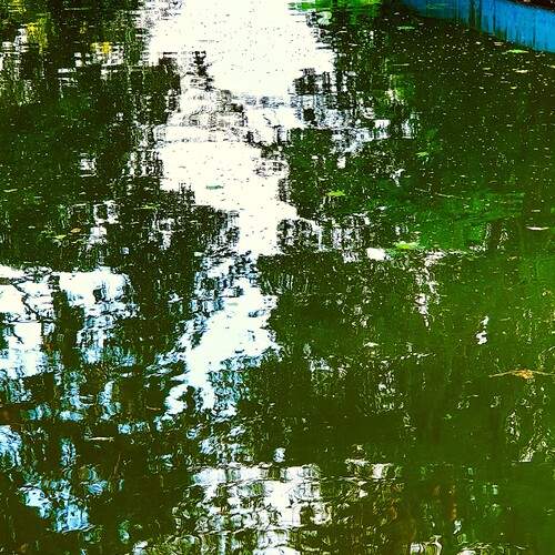 Photo #13631436