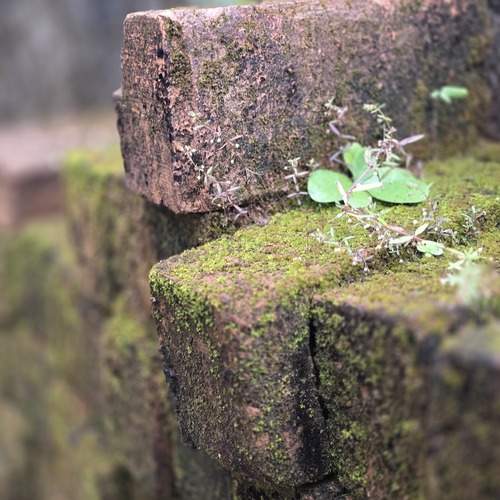 Photo #13631461