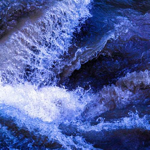 Photo #13631496