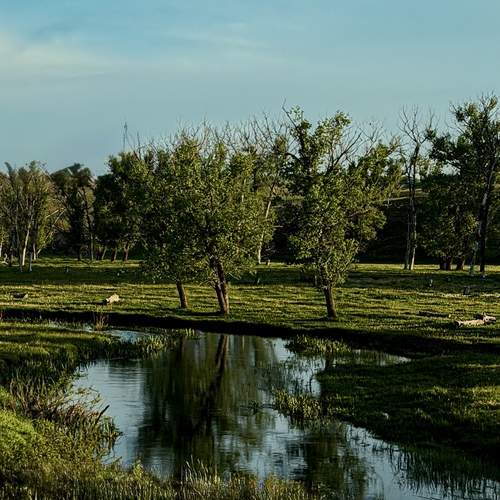 Photo #13631503