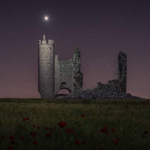 Ruins and Poppies