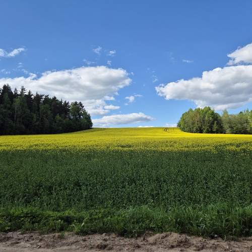 Photo #13631572