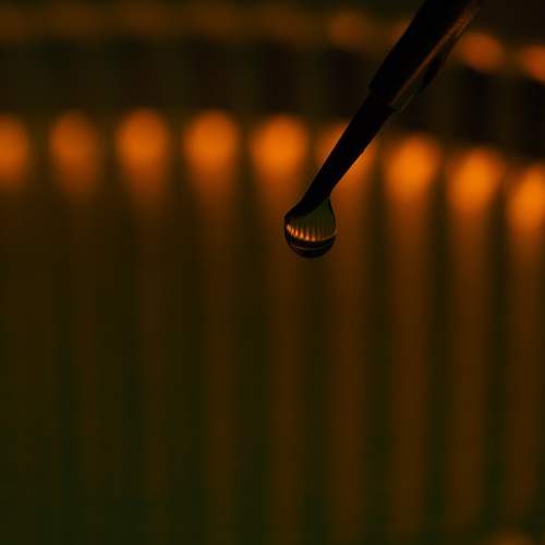 Photo #13631581