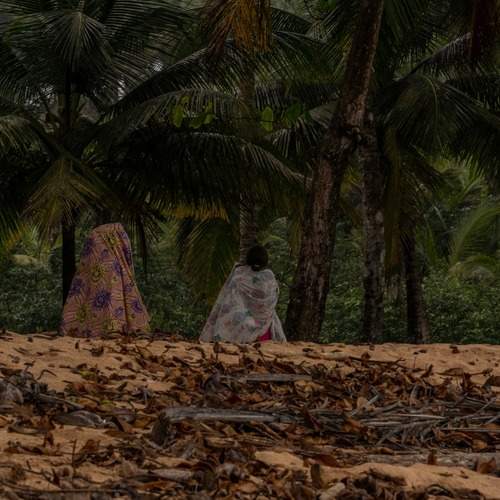 Photo #13631707