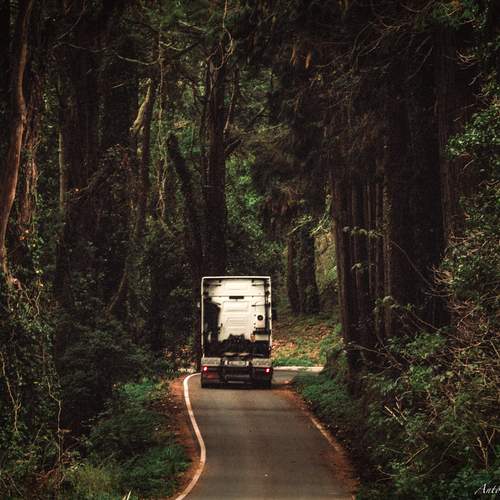 Photo #13631708