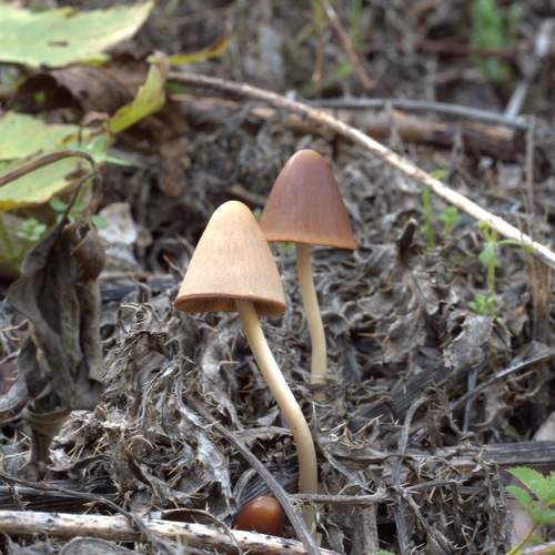 Photo #13631734