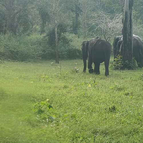 Photo #13631849