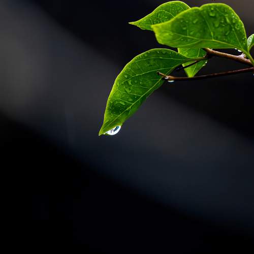After the Rain