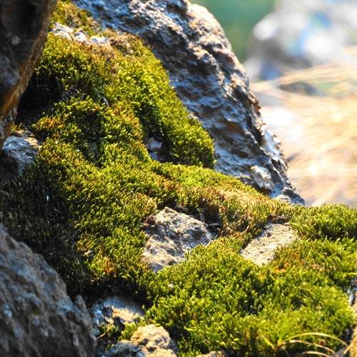 Photo #13631890