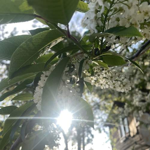 Photo #13631936