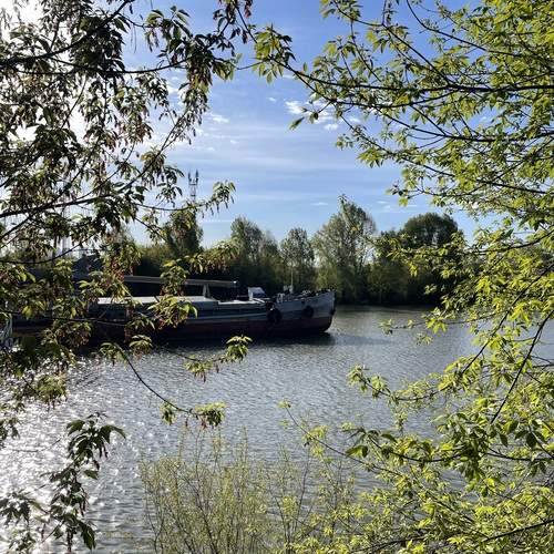 Photo #13631937