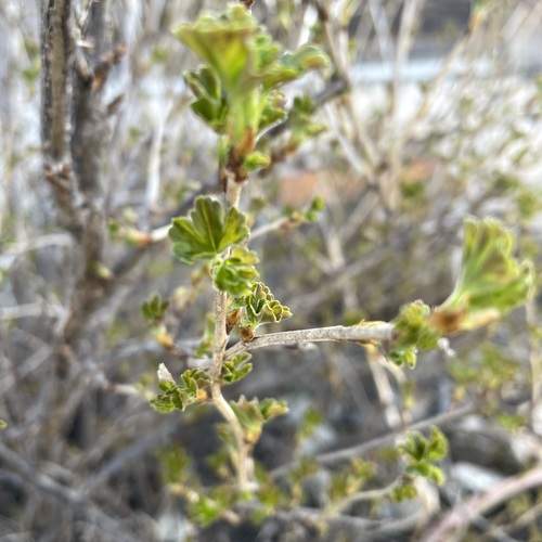 Photo #13631945