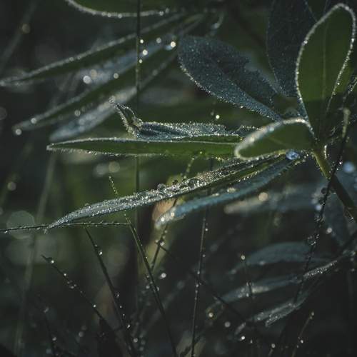 Photo #13631958