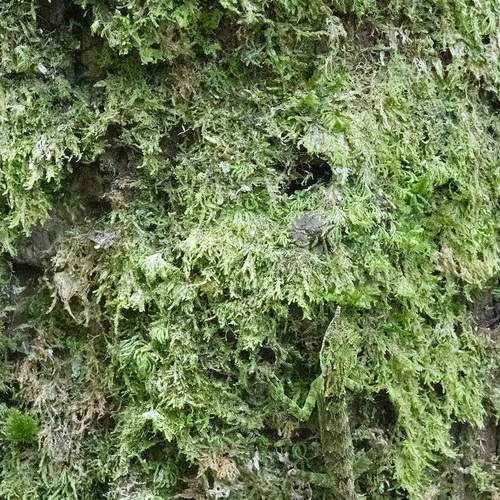 Photo #13632106