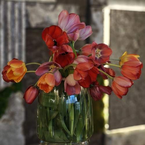 Photo #13632144
