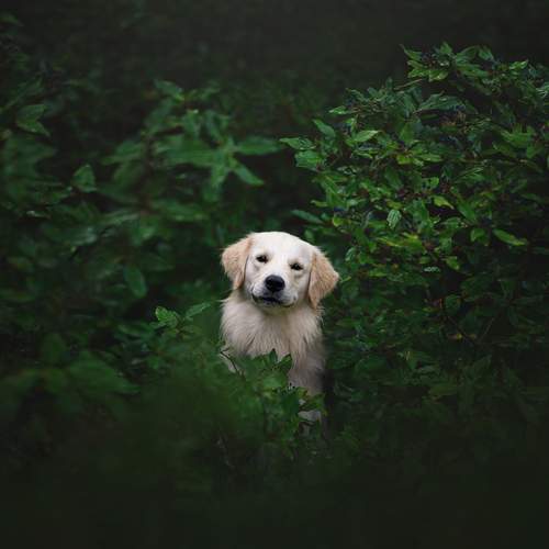 Photo #13632157