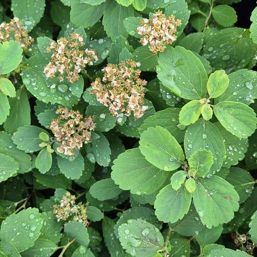 Photo #13632265