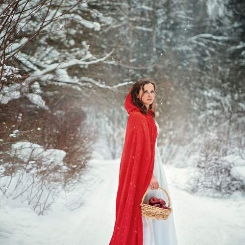 Photo #13632271