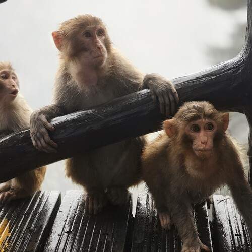 Photo #13632302