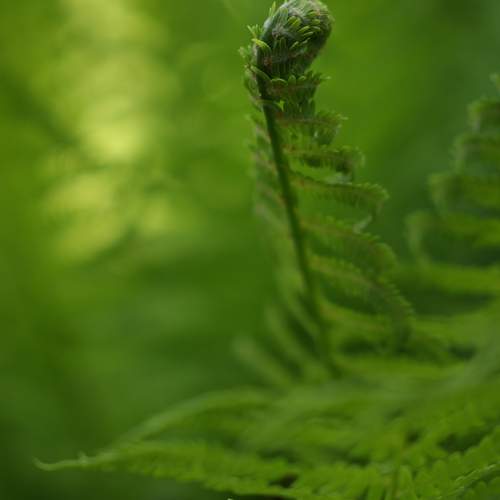 Photo #13632342