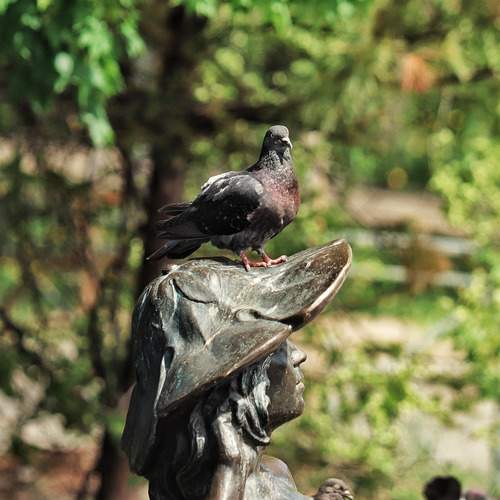 Photo #13632444