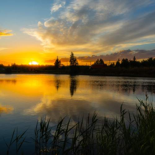 Photo #13632457