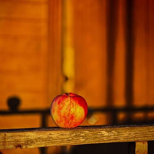 Photo #13632534