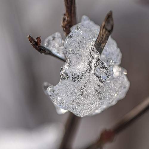 Photo #13632573