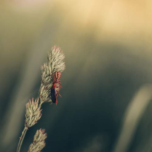 Photo #13632578