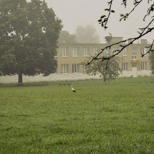 Photo #13632593