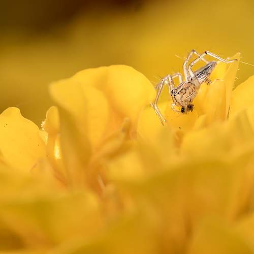 Photo #13632605