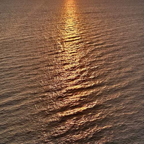 Photo #13632640