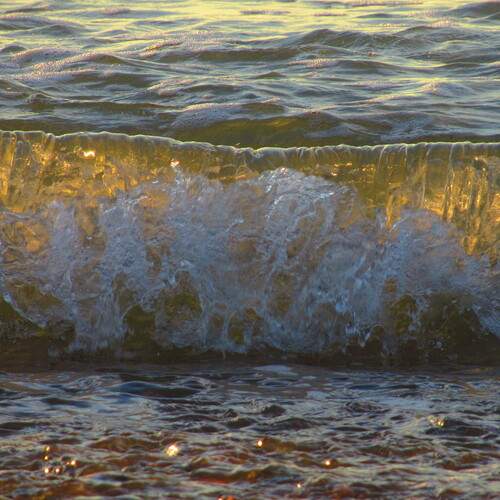 Photo #13632689