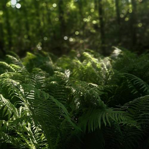 Photo #13632724