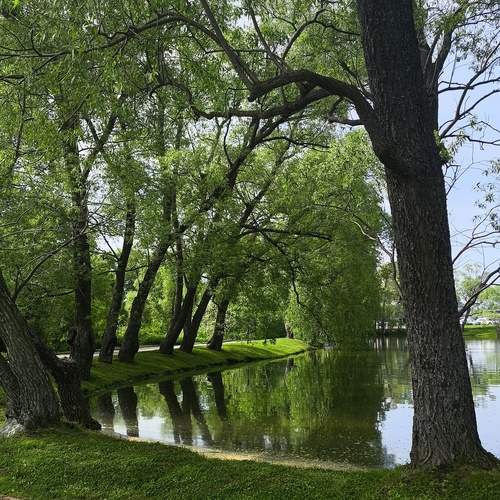 Photo #13632741